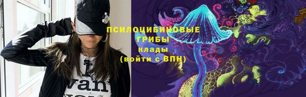 тгк Корсаков