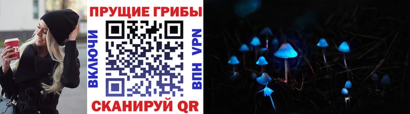 Псилоцибиновые грибы MAGIC MUSHROOMS  закладка  Кяхта 