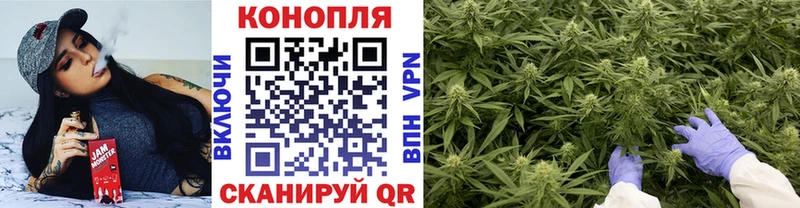 Каннабис ГИДРОПОН  mega как войти  Кяхта 